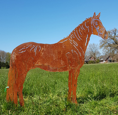 Pferd-Oldenburger Pferd Oldenburger