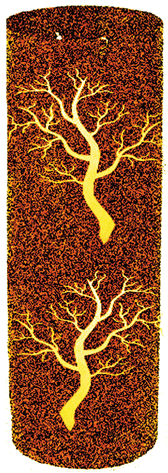 4d927192cc992e9f84fe216314085afb Feuersäule Waldgespinnst kl
