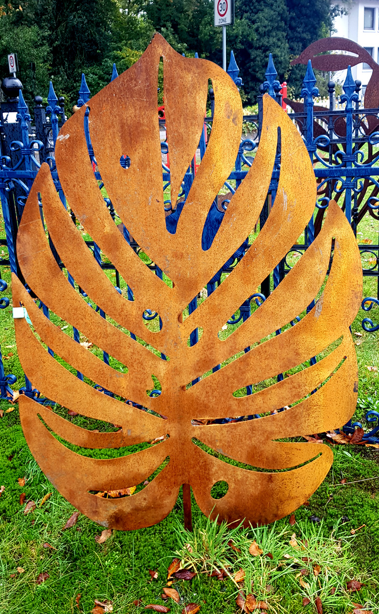 Philodendron Groß xxxl