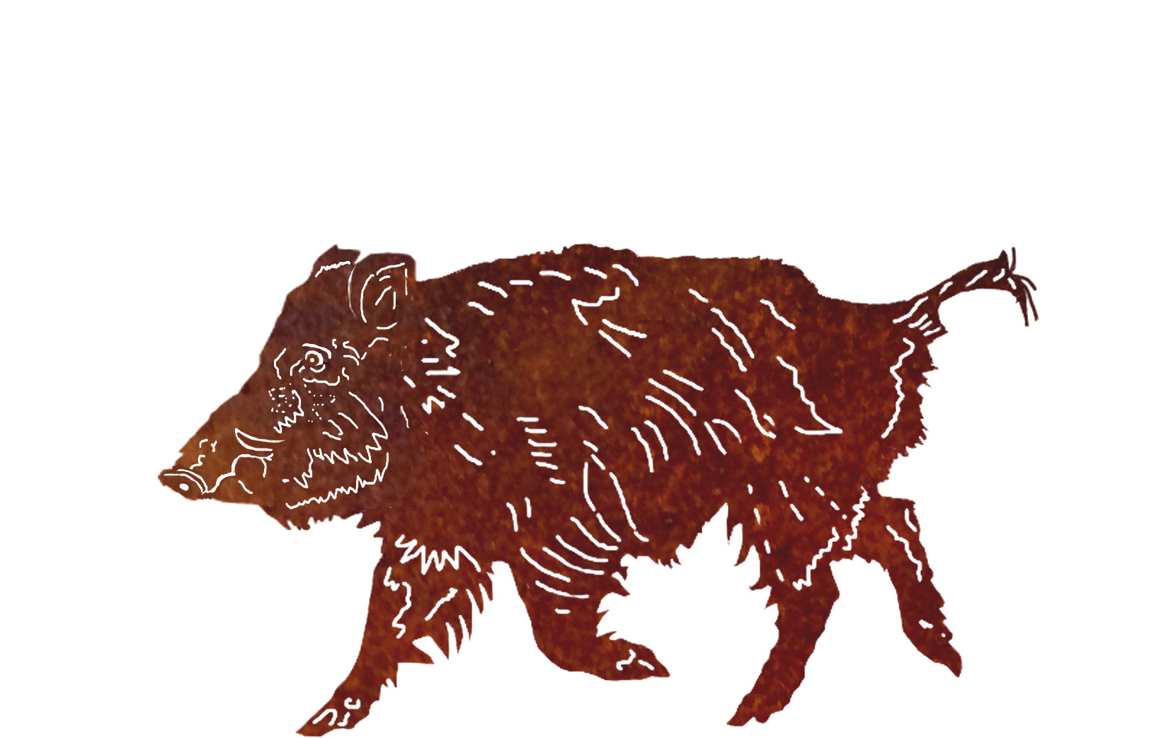 Wildschwein Albert