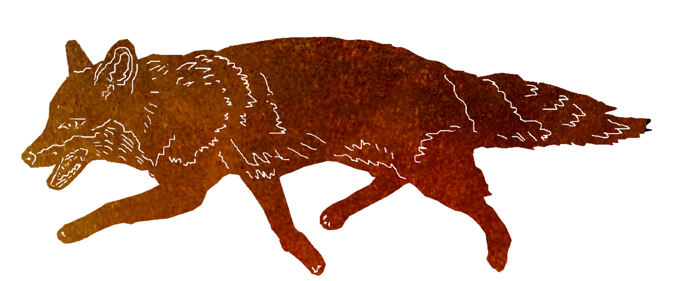 jagender Fuchs Maximilian