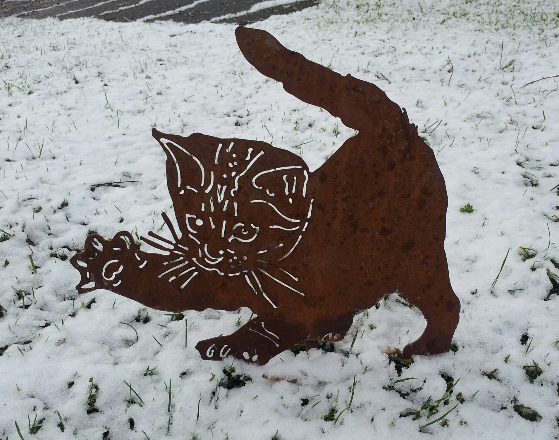 Katzenkind Nicky