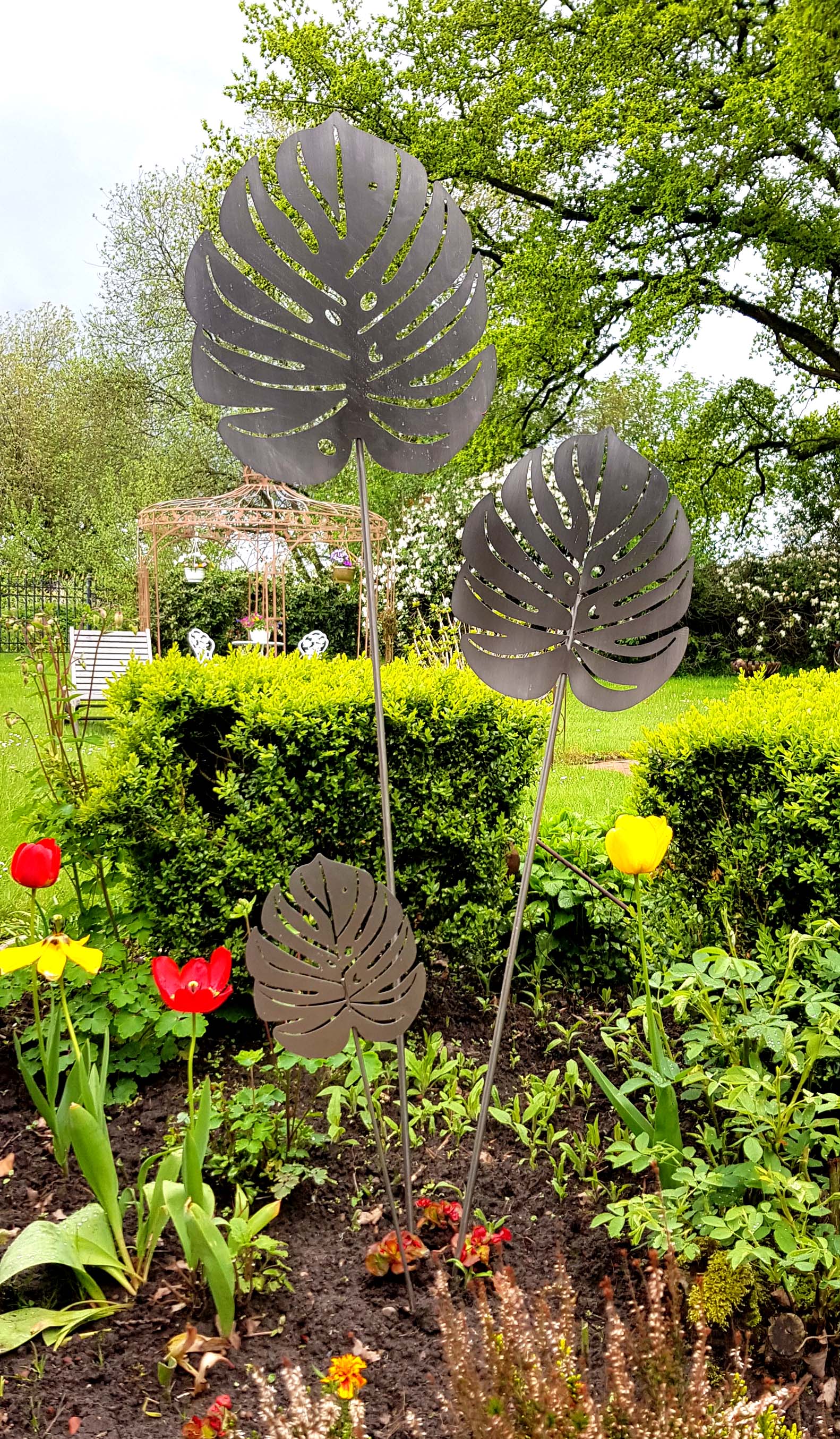 Philodendron set 2 teilig