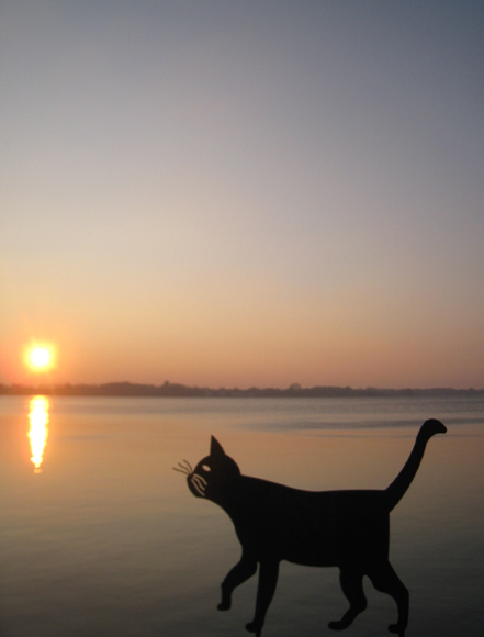 6a2a3fc69e182167fd44e1ef5d4f1bca