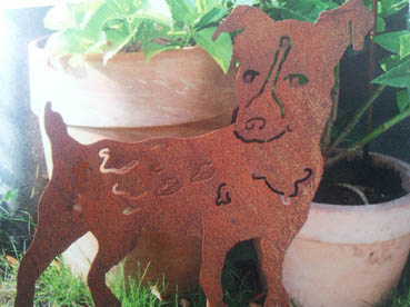 Jack Russel