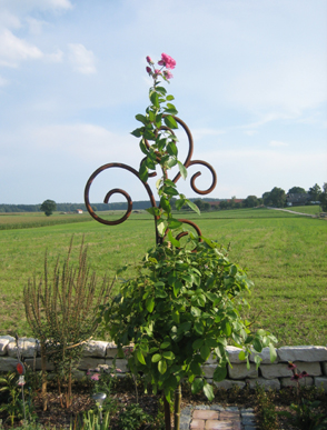 38ca4a491f42bed19b3a9bf8c44cc73a