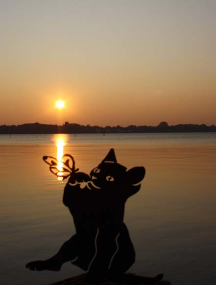 1f70524cdd1eb525563154a3334f8847