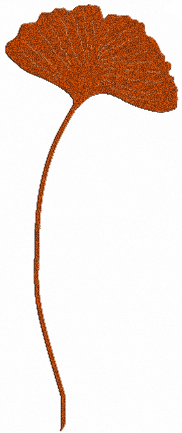 211161e0aef6e4dc99236ce79d3fe7d4 Gartenstecker Gingkoblatt