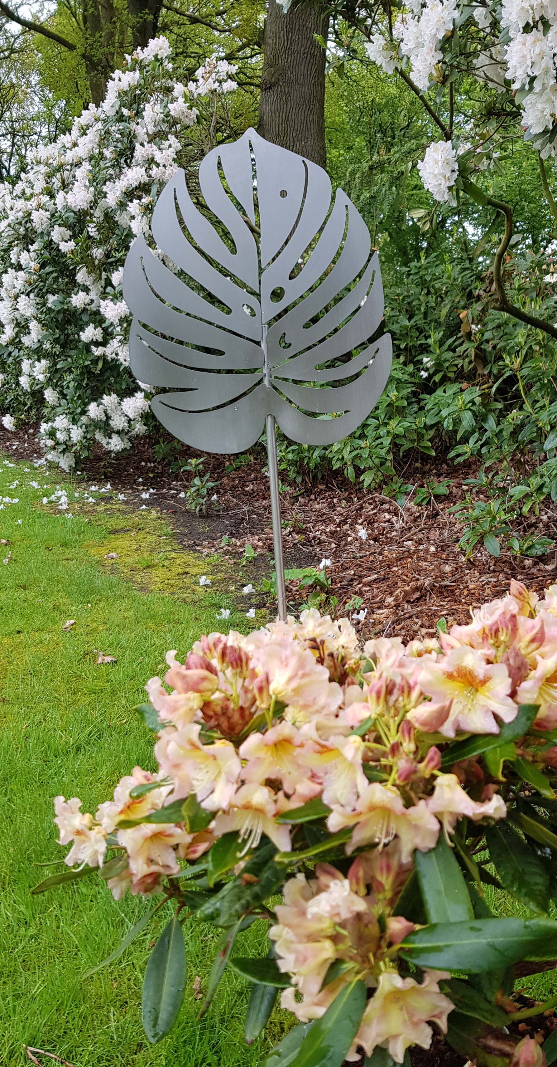 Philodendron Groß XL Edelstahl