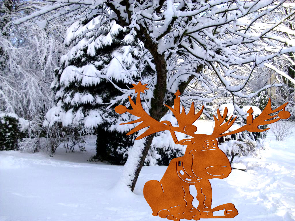 High Rudolf auf Platte